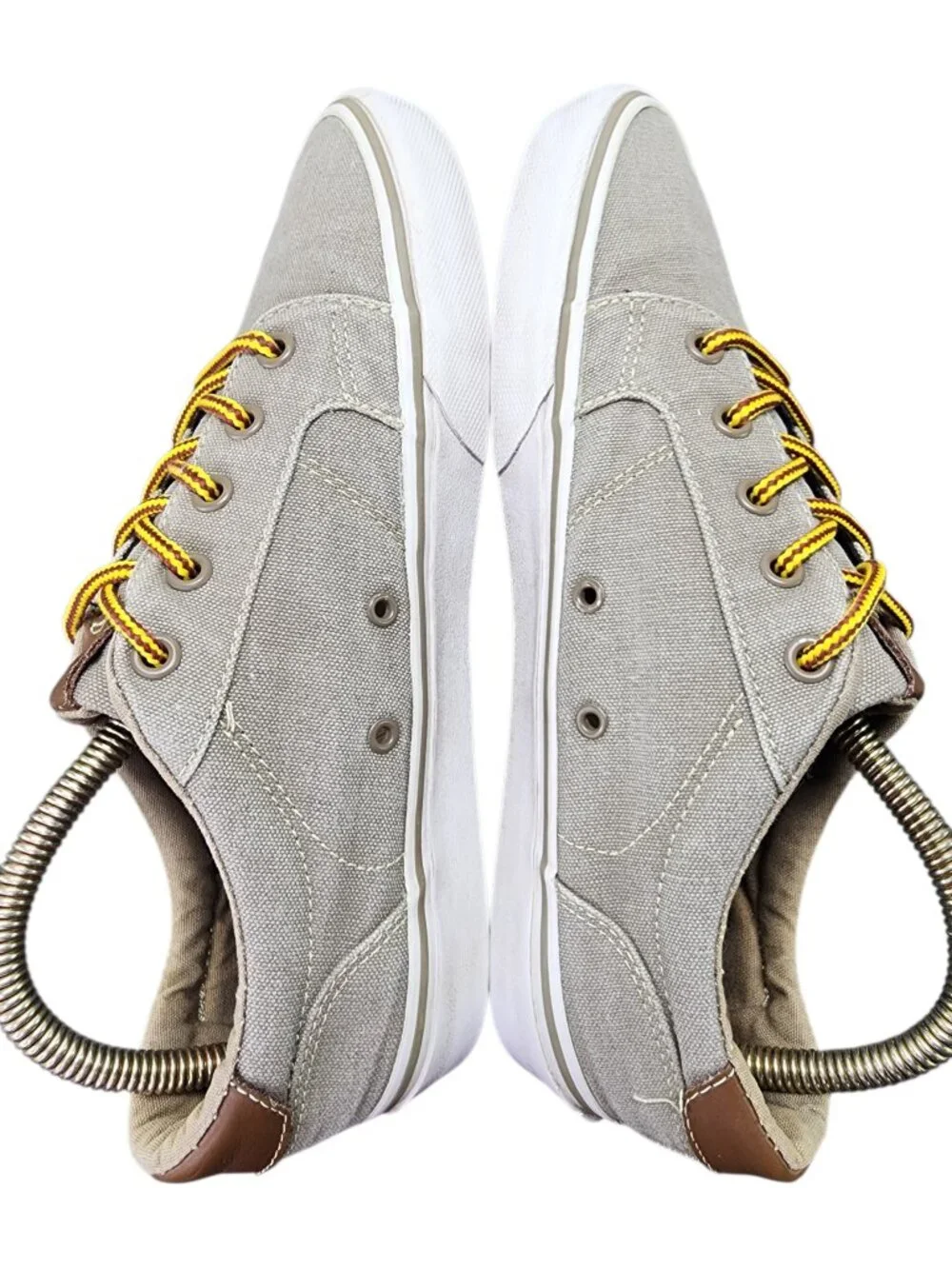 Vans bishop canvas